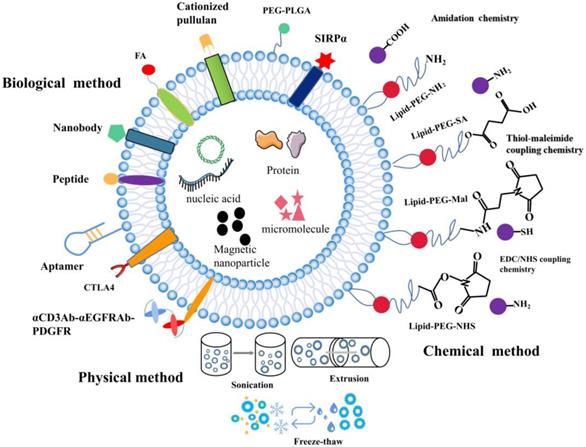 Int J Biol Sci Image