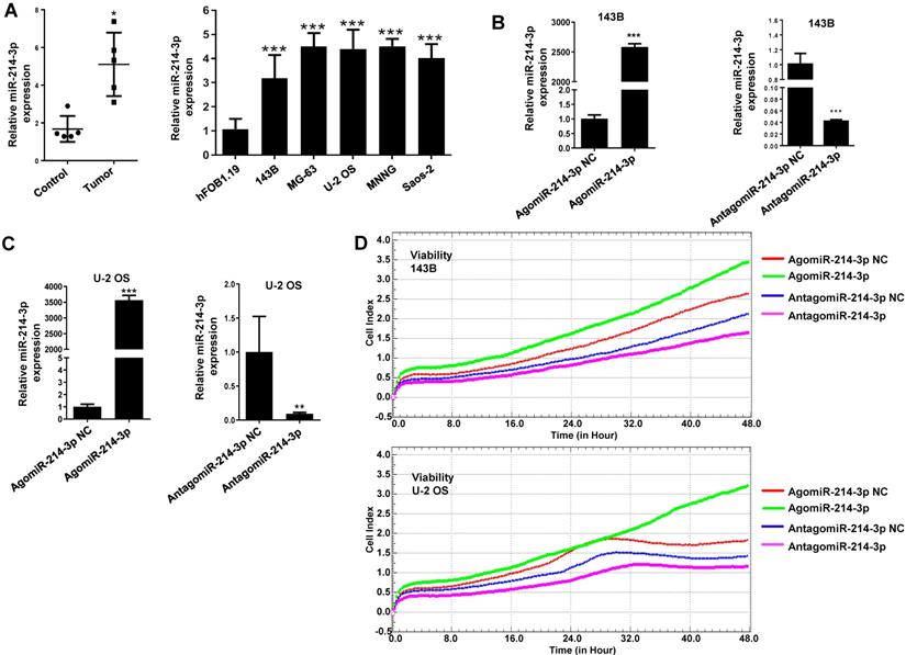 Int J Biol Sci Image