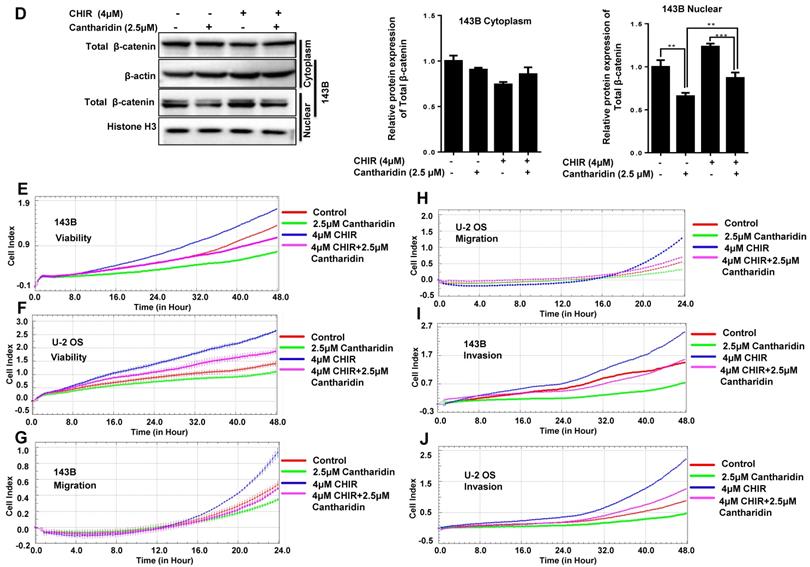 Int J Biol Sci Image