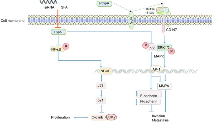 Int J Biol Sci Image