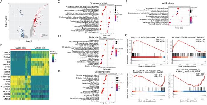 Int J Biol Sci Image