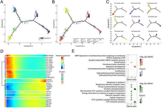 Int J Biol Sci Image