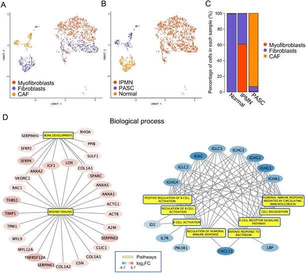 Int J Biol Sci Image