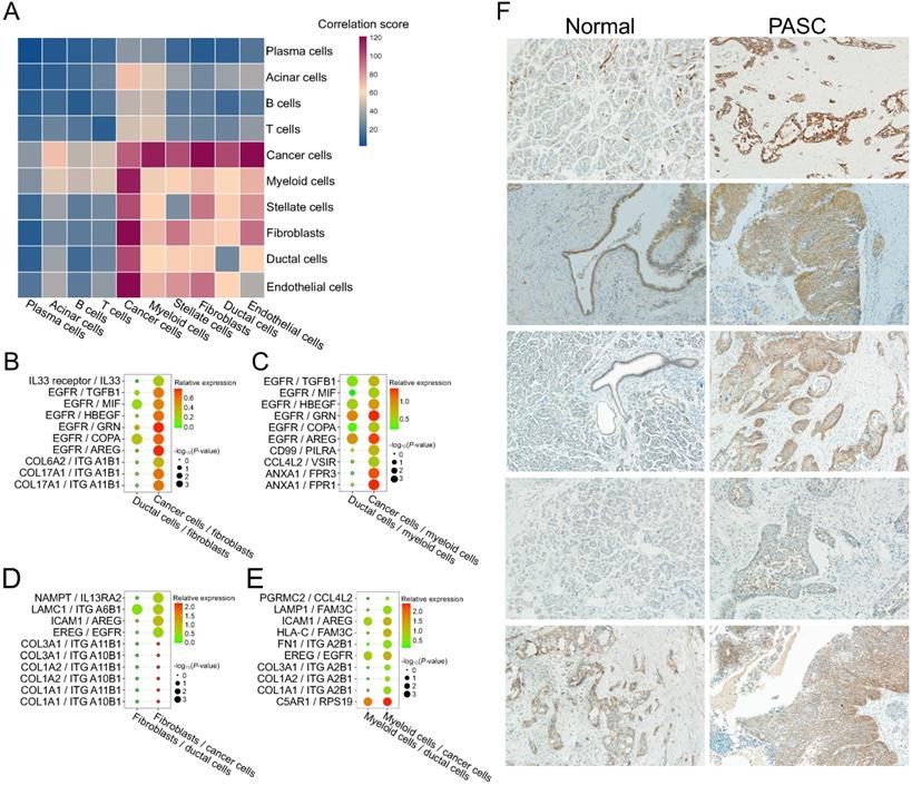 Int J Biol Sci Image