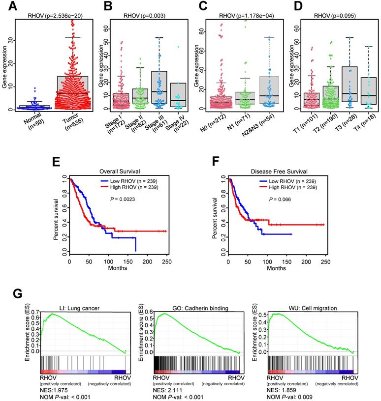 Int J Biol Sci Image