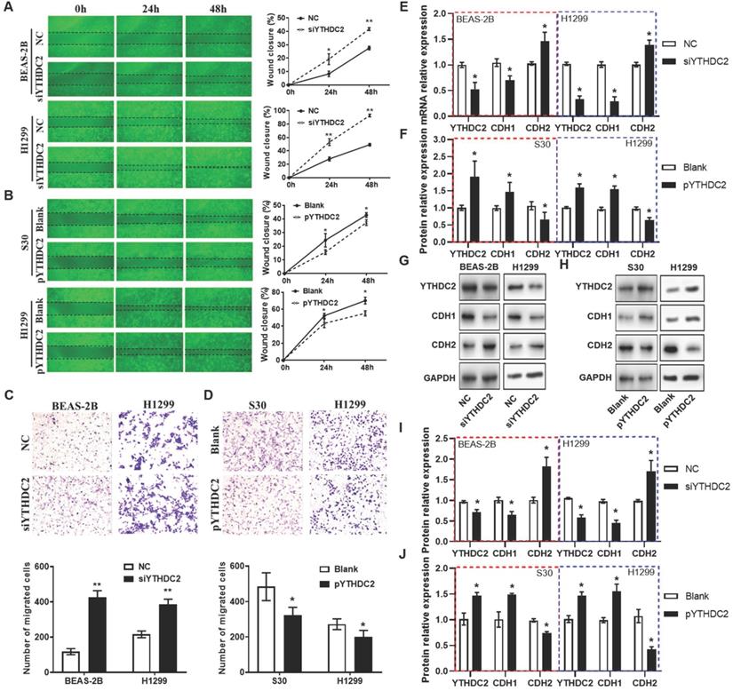 Int J Biol Sci Image