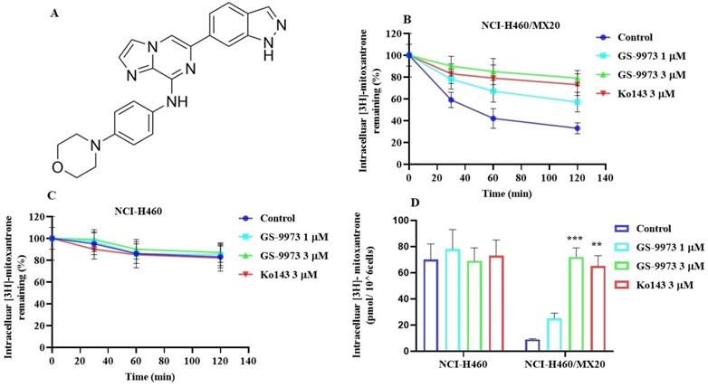 Int J Biol Sci Image