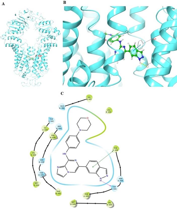 Int J Biol Sci Image