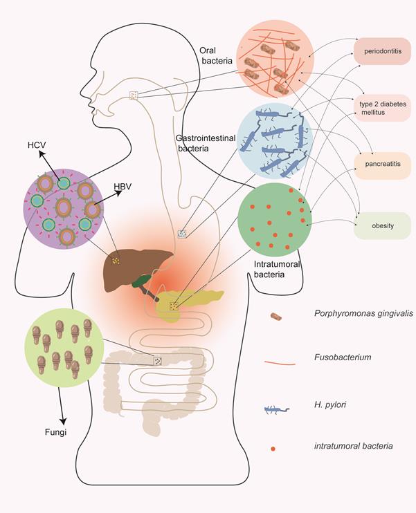 Int J Biol Sci Image