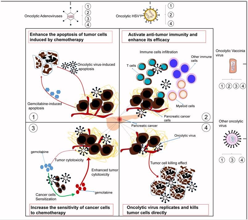 Int J Biol Sci Image