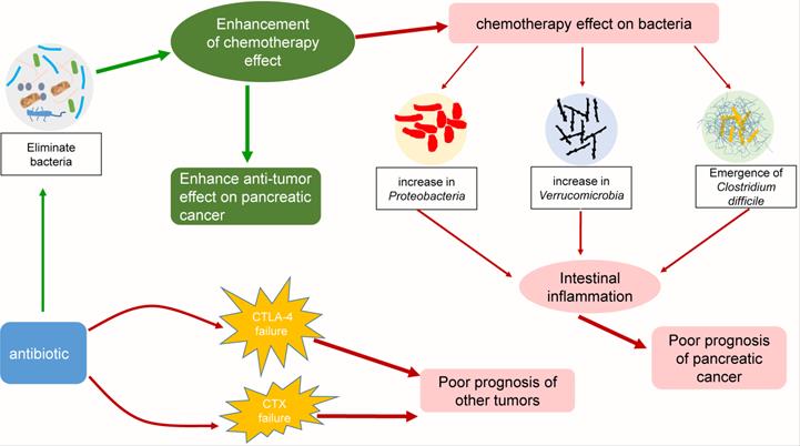 Int J Biol Sci Image