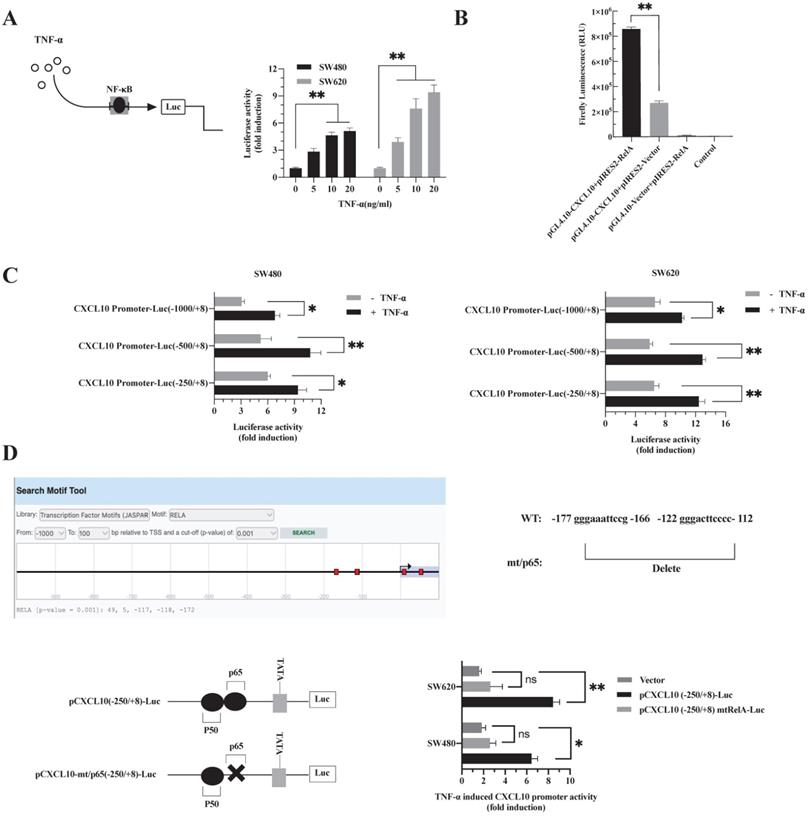 Int J Biol Sci Image