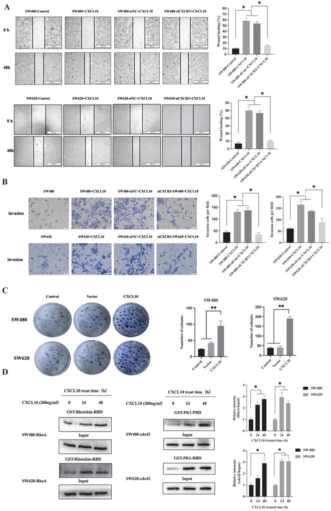 Int J Biol Sci Image