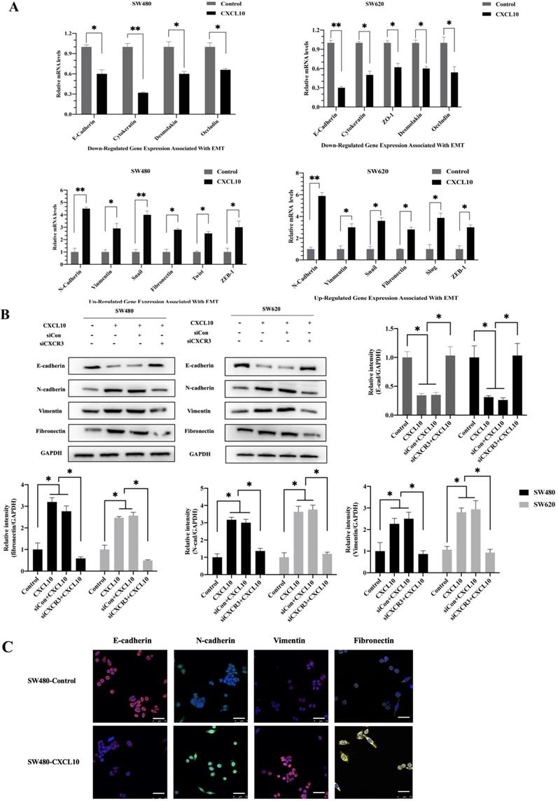 Int J Biol Sci Image