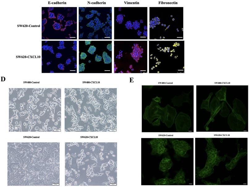 Int J Biol Sci Image