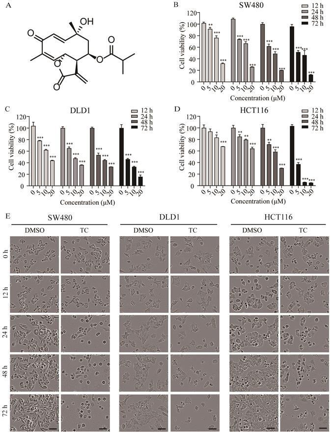 Int J Biol Sci Image