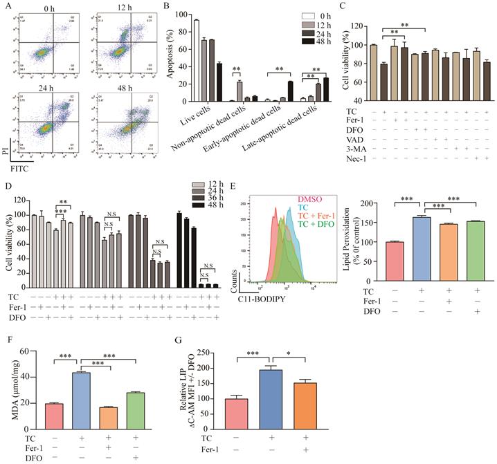 Int J Biol Sci Image