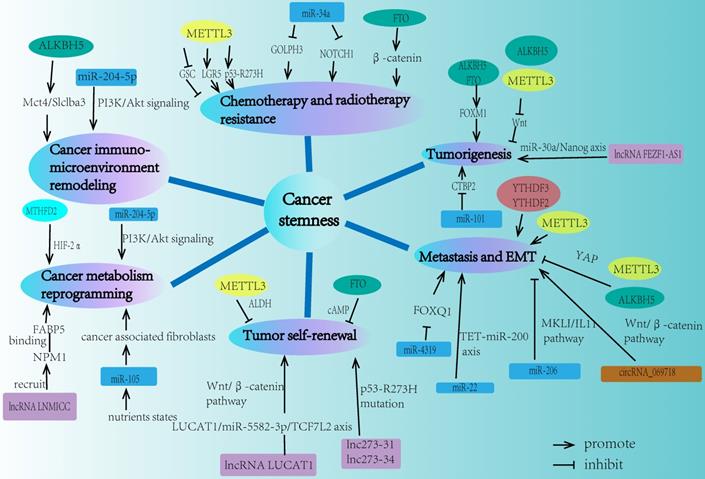 Int J Biol Sci Image