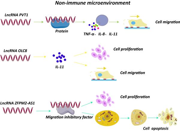 Int J Biol Sci Image