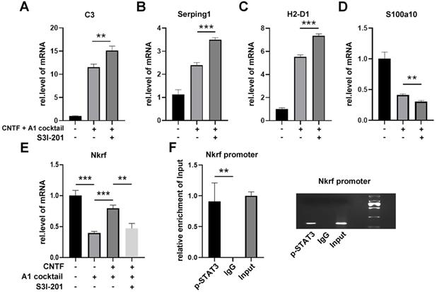 Int J Biol Sci Image