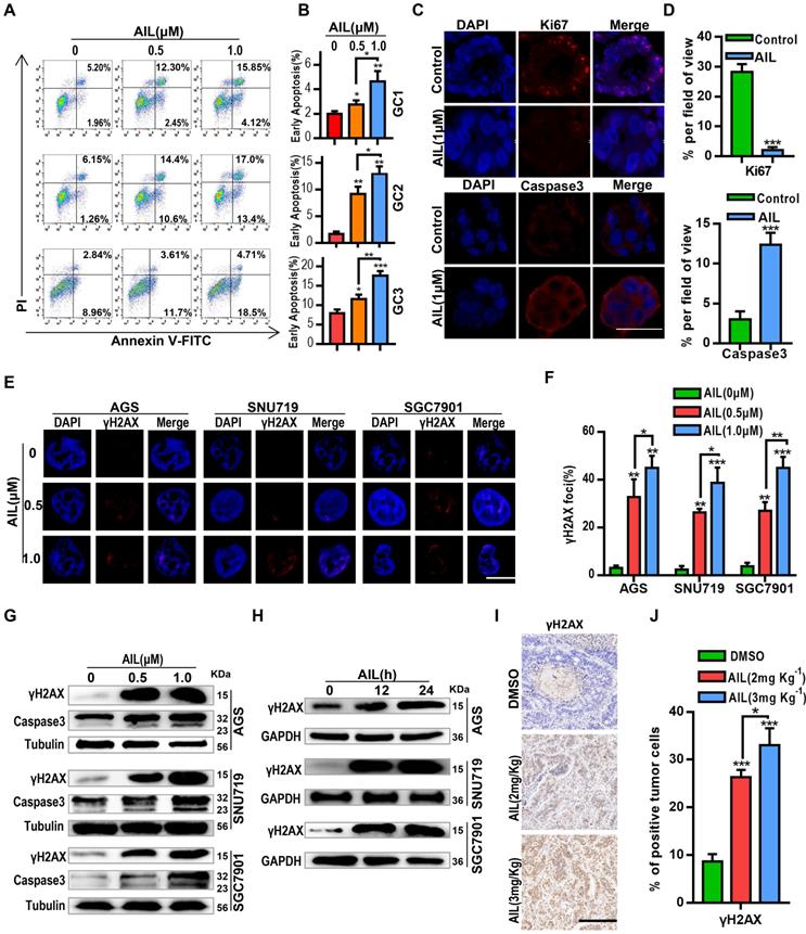 Int J Biol Sci Image