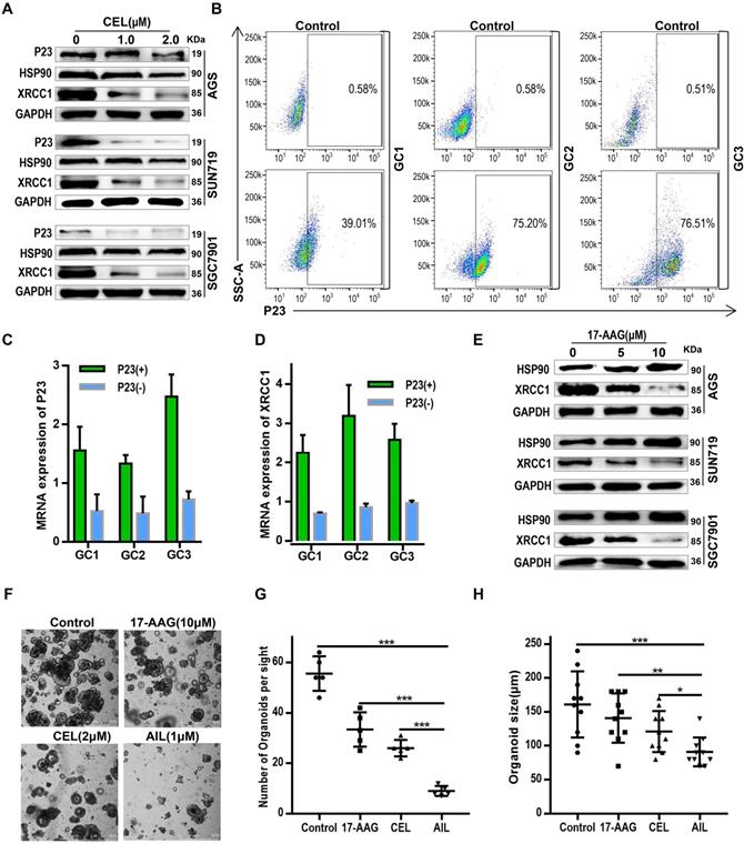 Int J Biol Sci Image