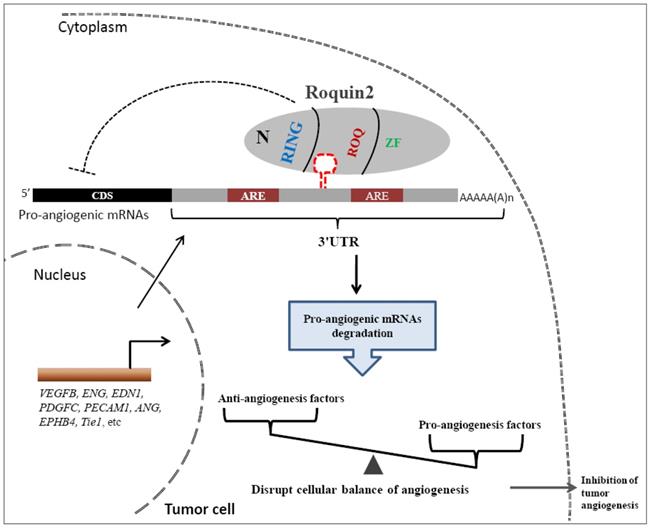 Int J Biol Sci Image