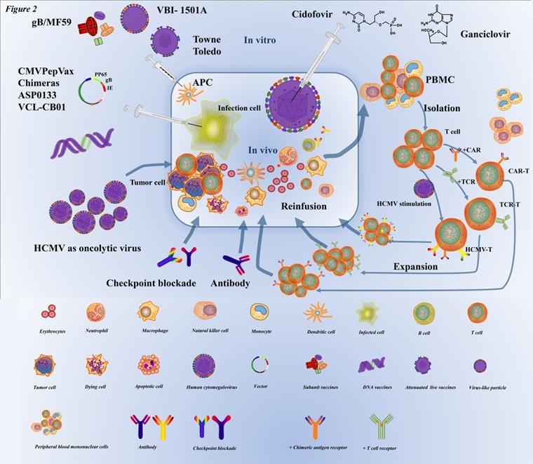 Int J Biol Sci Image