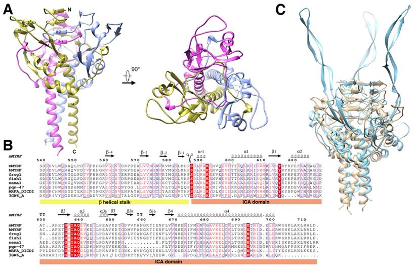 Int J Biol Sci Image