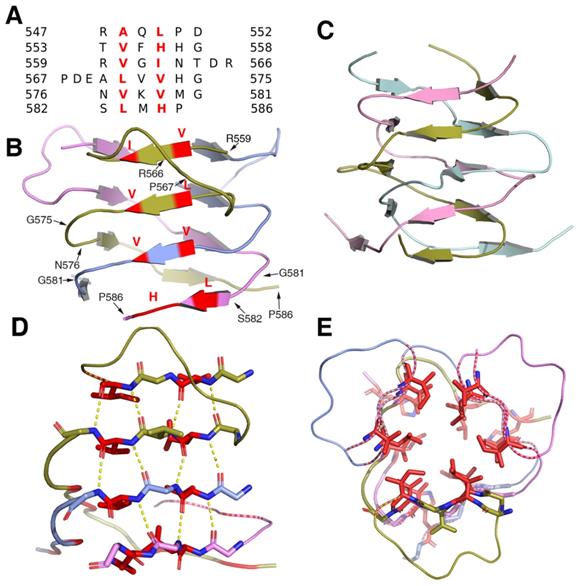 Int J Biol Sci Image