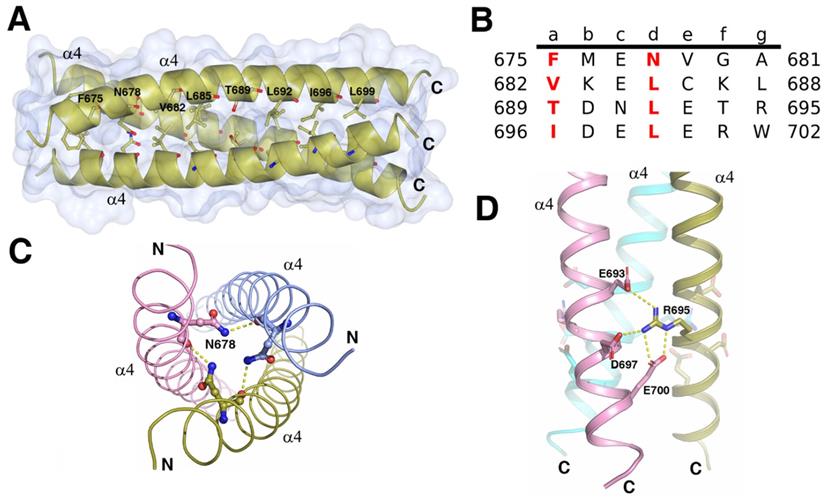 Int J Biol Sci Image