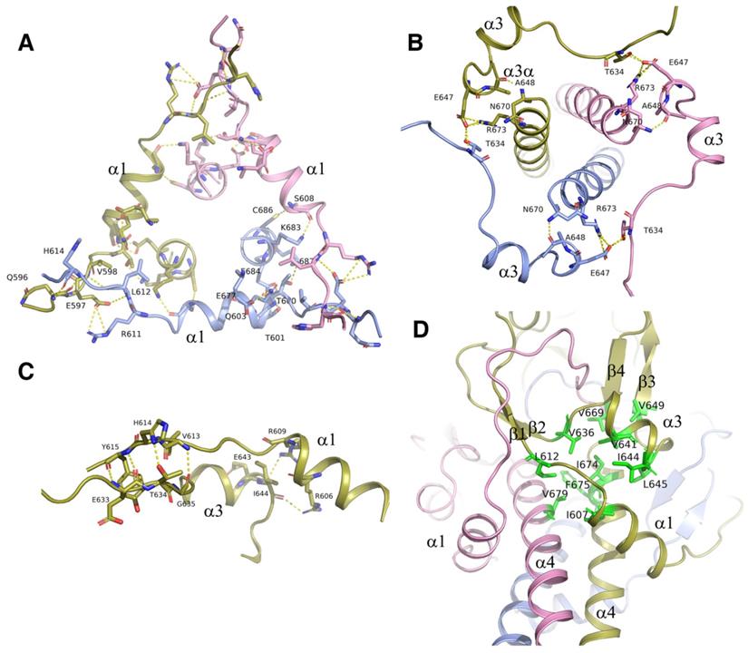 Int J Biol Sci Image