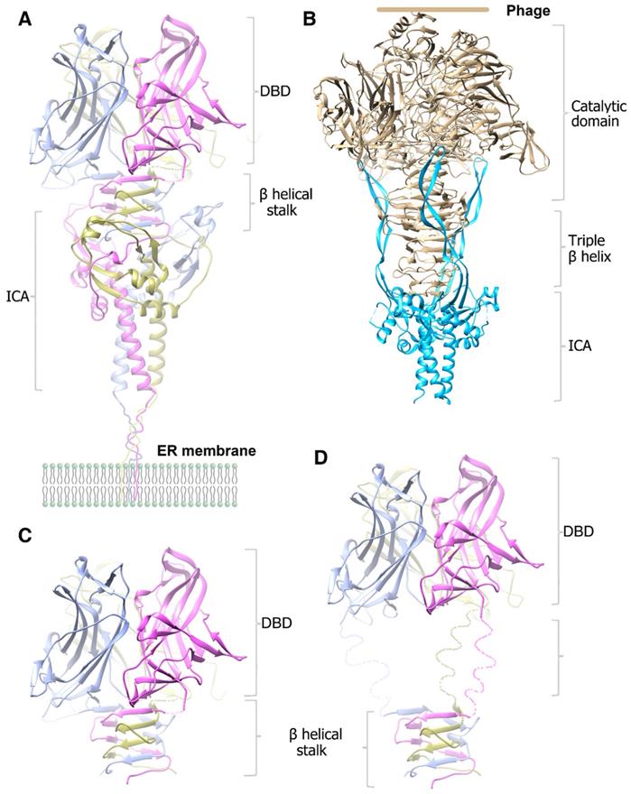 Int J Biol Sci Image