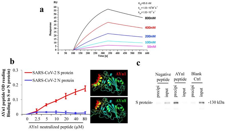 Int J Biol Sci Image