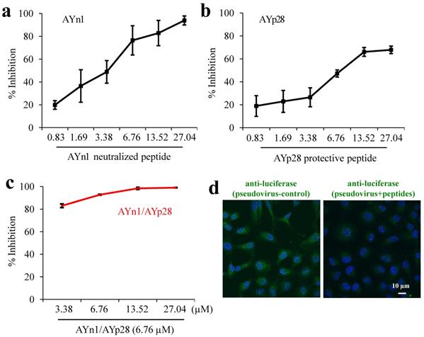 Int J Biol Sci Image