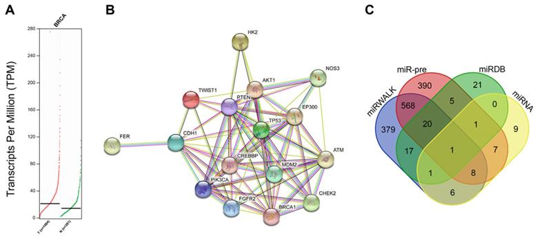 Int J Biol Sci Image