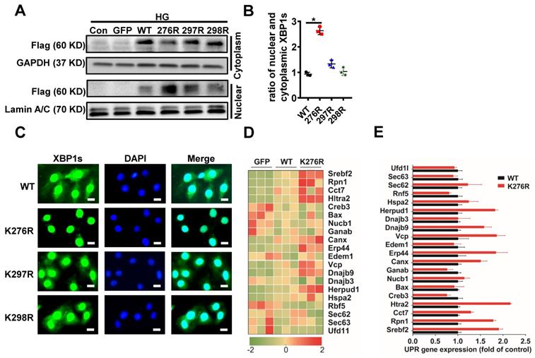 Int J Biol Sci Image