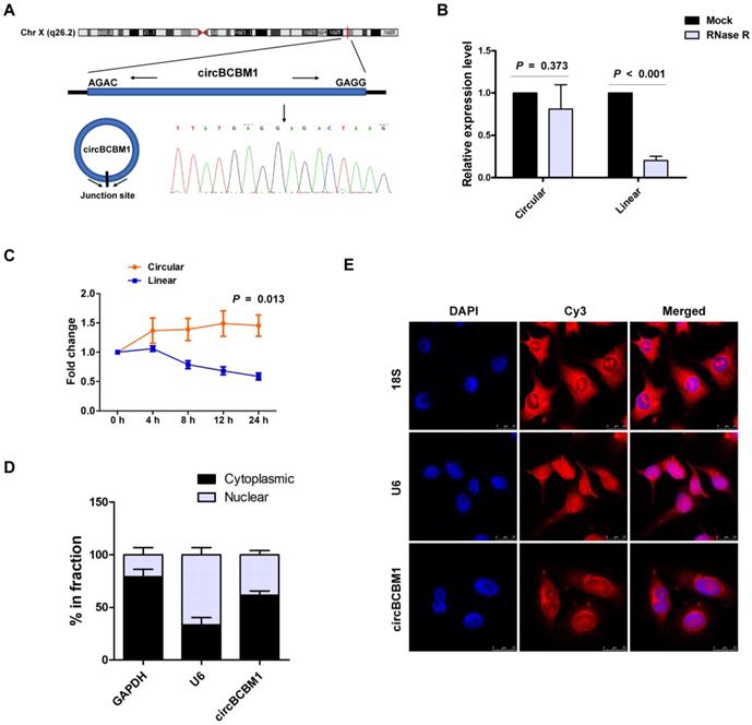 Int J Biol Sci Image