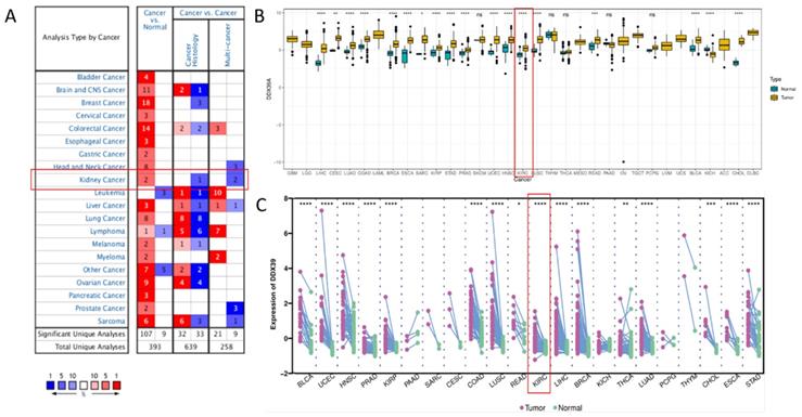 Int J Biol Sci Image