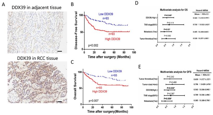 Int J Biol Sci Image