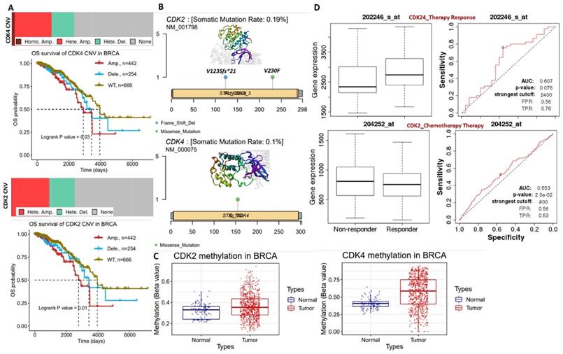 Int J Biol Sci Image