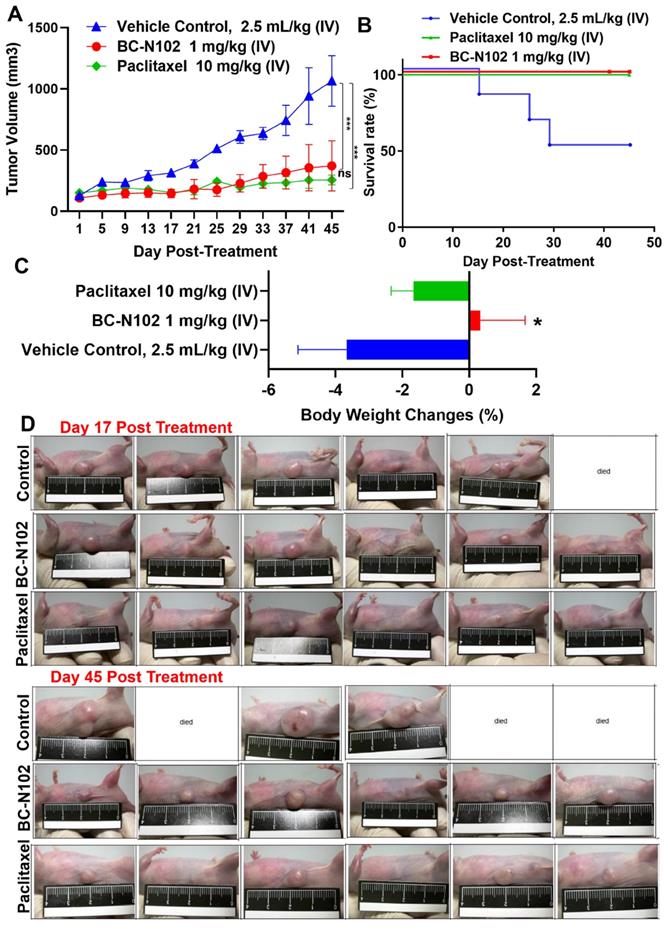 Int J Biol Sci Image