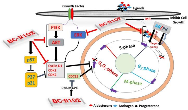 Int J Biol Sci Image