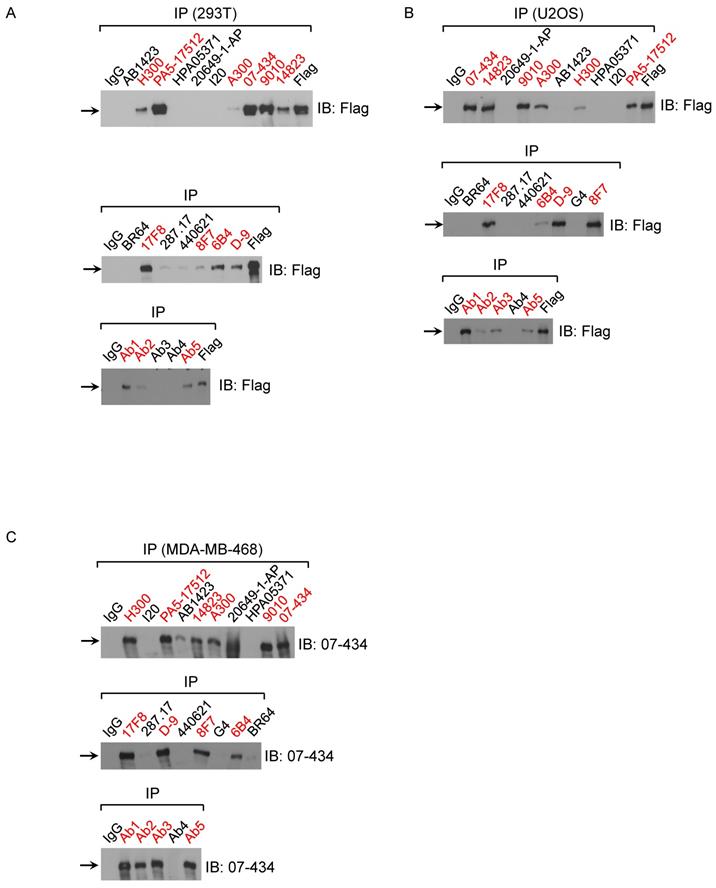 Int J Biol Sci Image