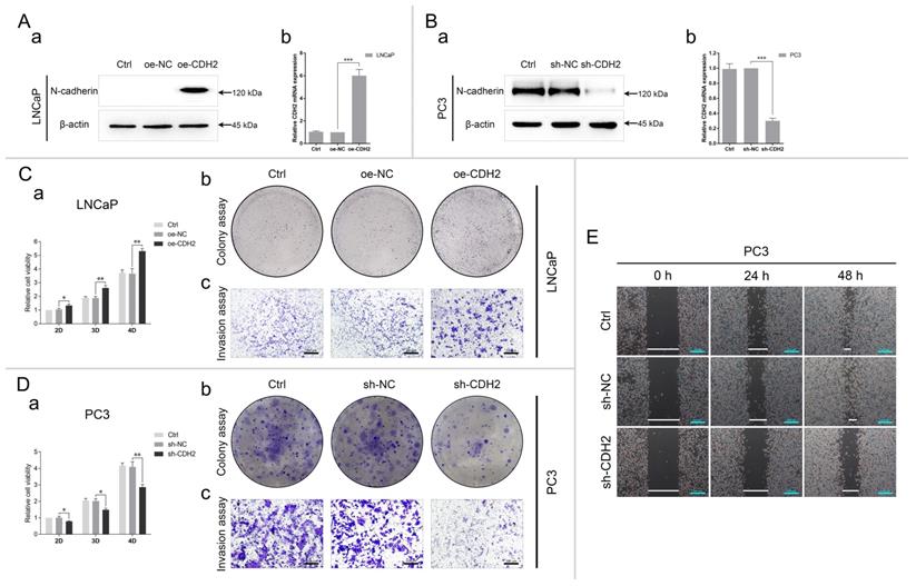 Int J Biol Sci Image