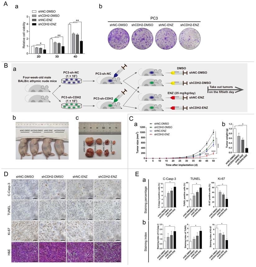 Int J Biol Sci Image