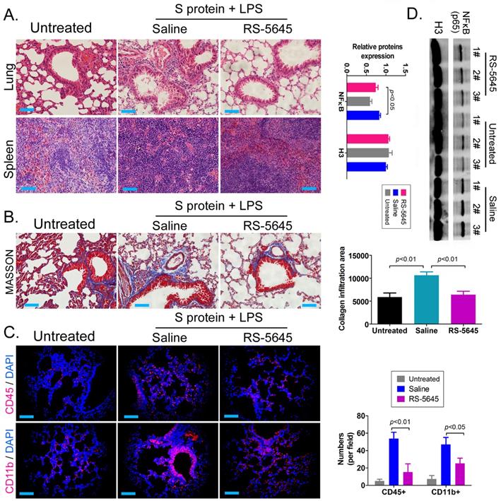 Int J Biol Sci Image