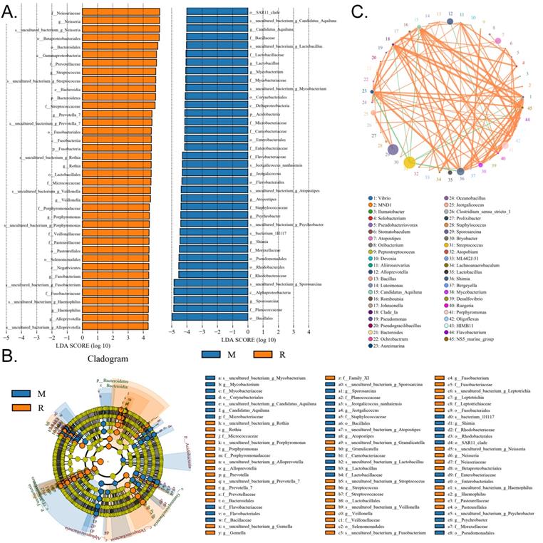 Int J Biol Sci Image