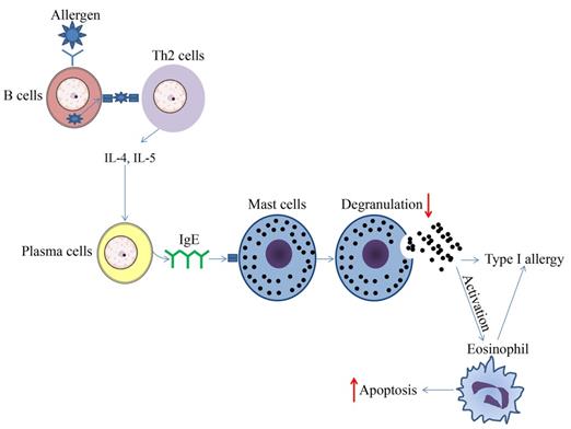 Int J Biol Sci Image