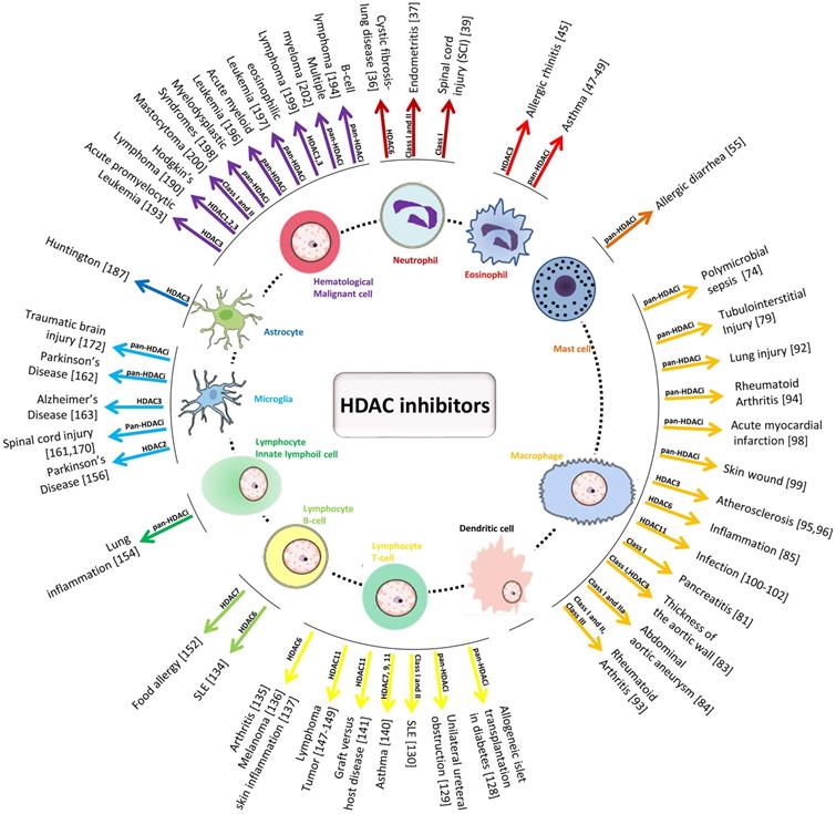 Int J Biol Sci Image